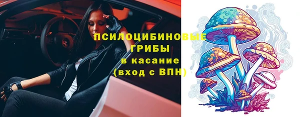 эйфоретик Богородск